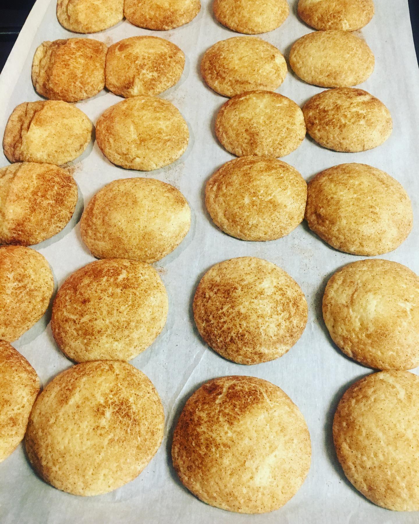 Gluten free snicker doodle cookies, one dozen